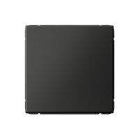 Заглушка без рамки Systeme Electric ArtGallery базальт картинка